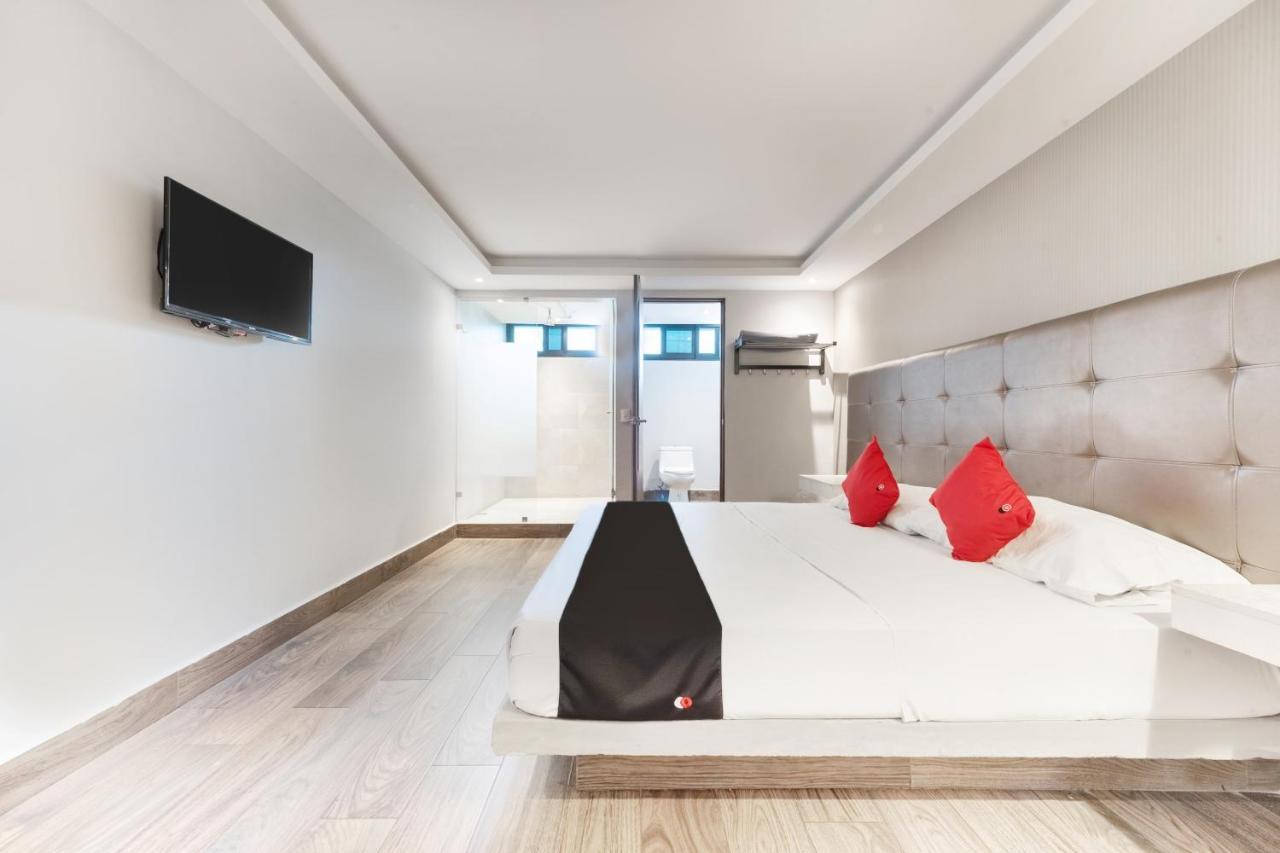 Hotel 202 Monterrey Kültér fotó