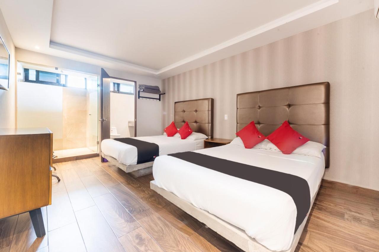 Hotel 202 Monterrey Kültér fotó