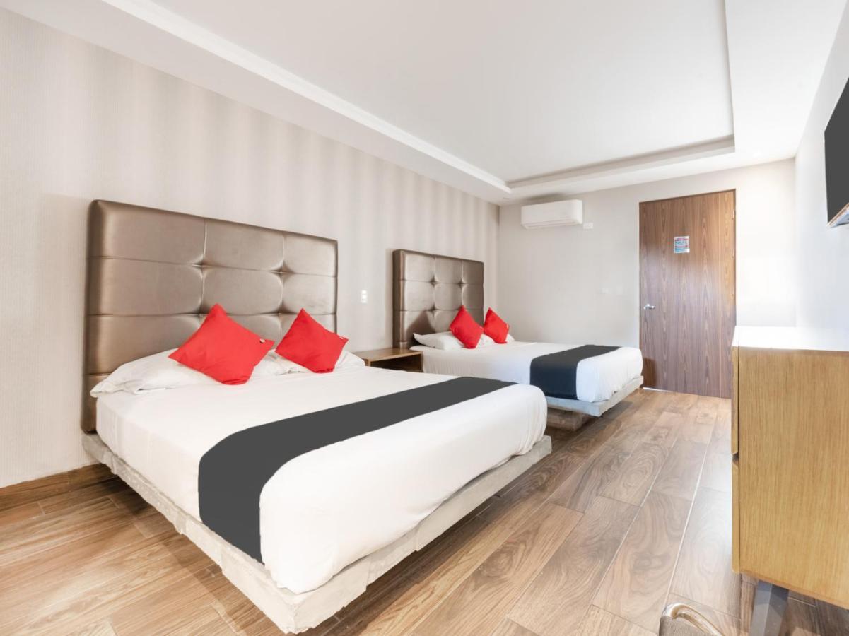 Hotel 202 Monterrey Kültér fotó
