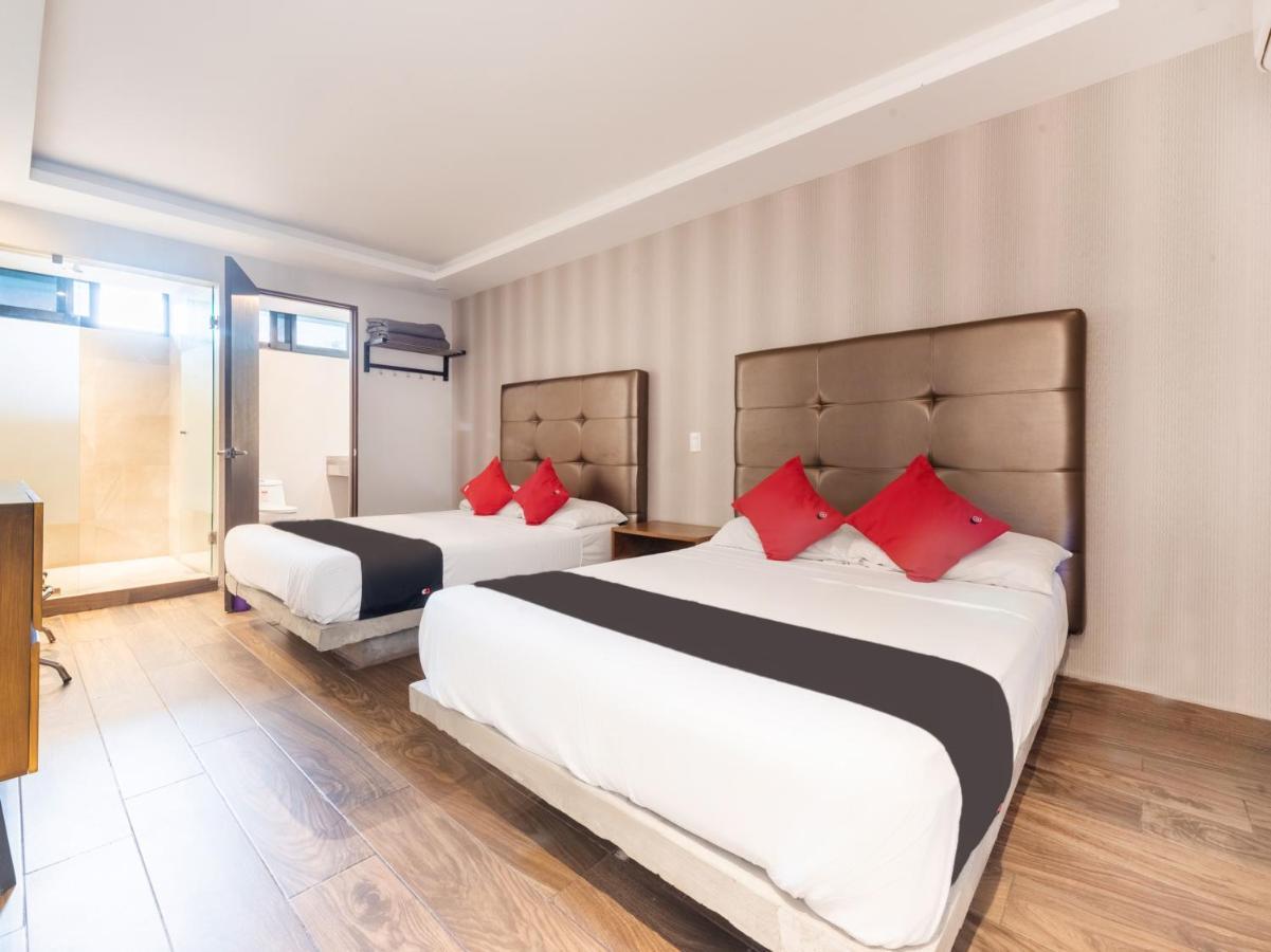 Hotel 202 Monterrey Kültér fotó