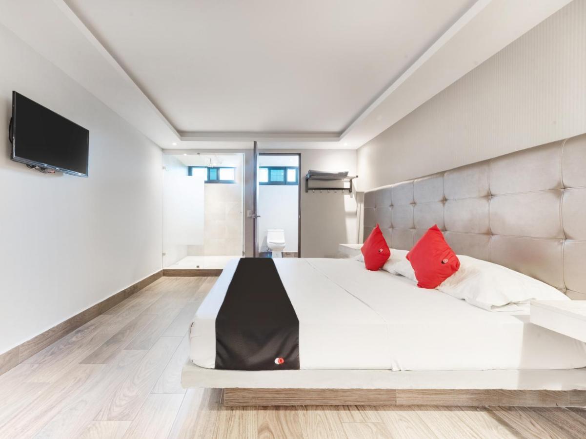 Hotel 202 Monterrey Kültér fotó