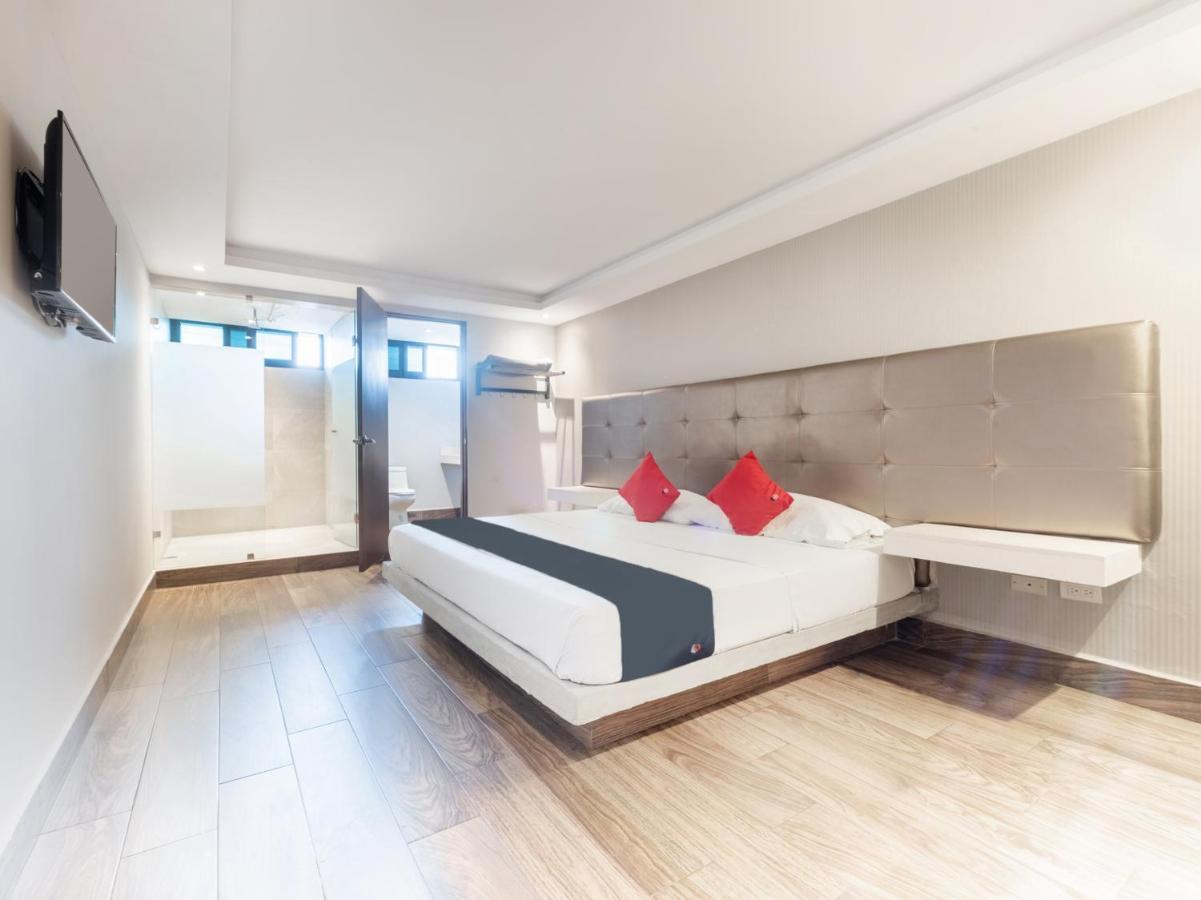 Hotel 202 Monterrey Kültér fotó