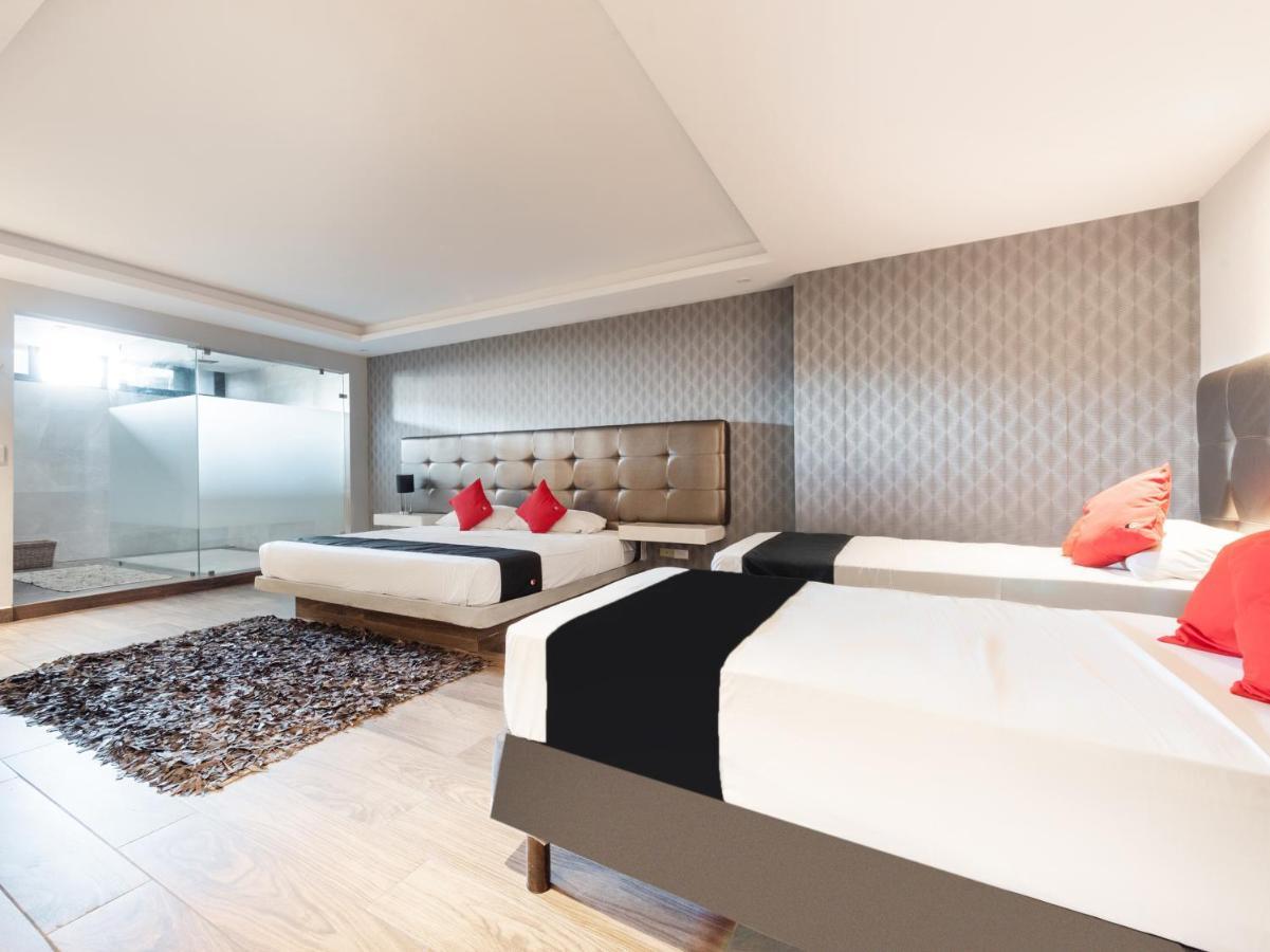 Hotel 202 Monterrey Kültér fotó